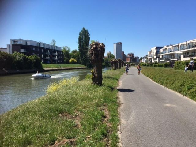 Residentie Pelikaan - Nice View On The Leie 代因泽 外观 照片