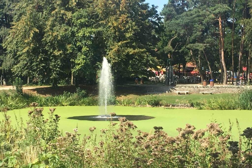 Residentie Pelikaan - Nice View On The Leie 代因泽 外观 照片